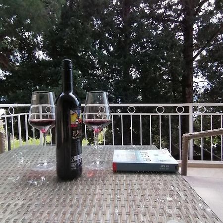 Apartment Borovi With Terrace And Parking פודאצה מראה חיצוני תמונה