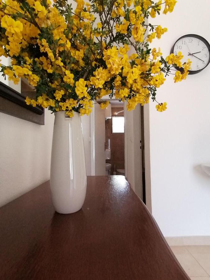 Apartment Borovi With Terrace And Parking פודאצה מראה חיצוני תמונה